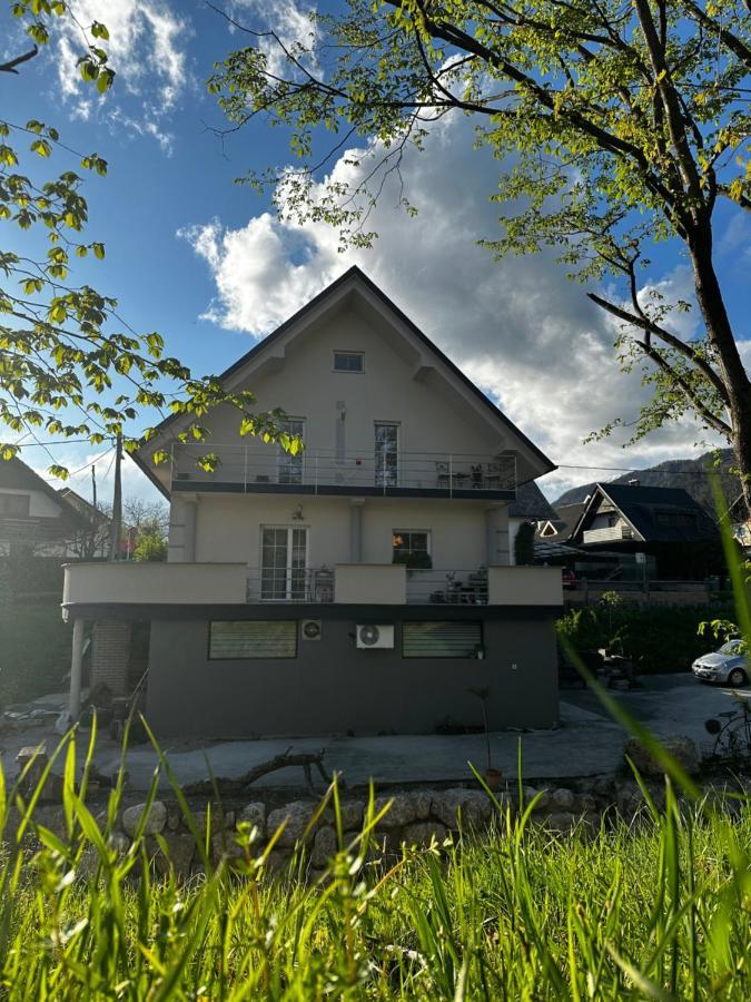 Apartament Hisa Sreco Begunje na Gorenjskem Zewnętrze zdjęcie